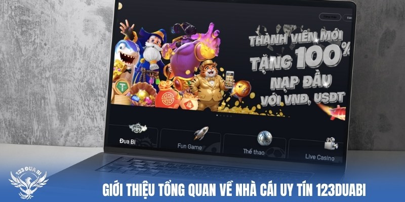 Tổng quan về nhà cái uy tín 123duabi